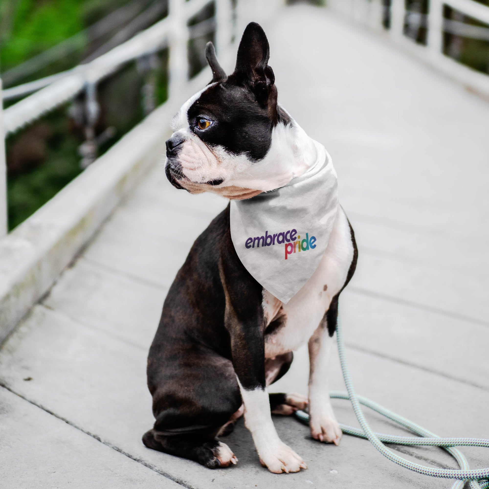 Pride 2025 dog bandana